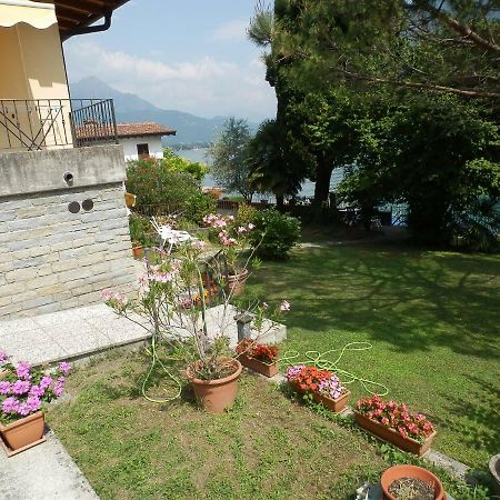 Le Palme Antonella Villa Cima Exterior photo